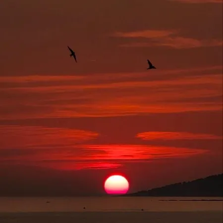 Eternity By The Ionian * Sarande